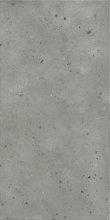 Керамогранит Авангард Айрон рет 60х120