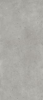 Керамогранит Авангард Сильвер 120х278